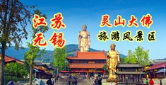 www.黄操太深了江苏无锡灵山大佛旅游风景区